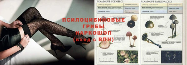 спайс Нижний Тагил