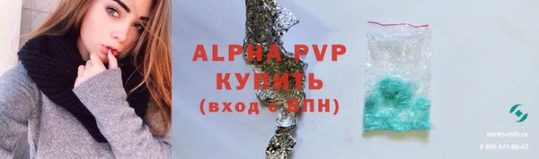 гашик Чита