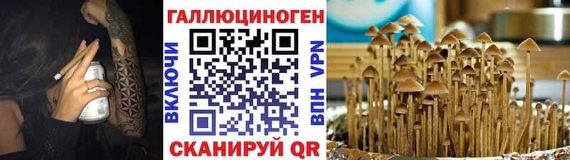 Псилоцибиновые грибы мицелий  сколько стоит  Чёрмоз 